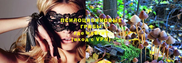 mdpv Володарск