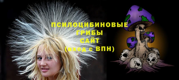 mdma Бородино