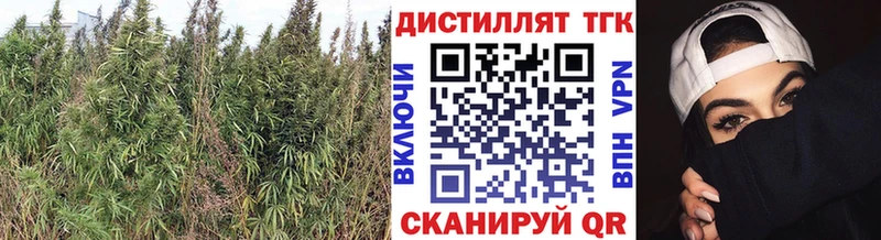 Дистиллят ТГК THC oil  Канск 